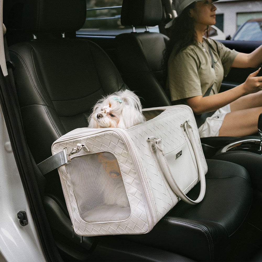 Luxury Multi-Functional Breathable Woven Leather Pet Carrier – The City Companion