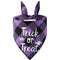 Halloween Pet Plaid Letter Bib | Cotton Gift Bib for Pets