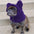 Fleece Dog Hood with Bear Ears – Fun and Cozy Winter Headwear