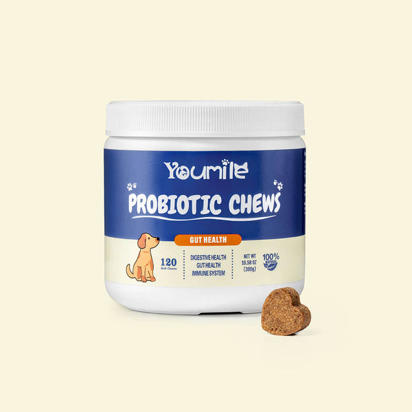 Probiotic Soft Chews for Dogs (120 Count) | Digestive Health & Immune Boost
