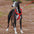 Easy to Wear Adjustable No-Pull Dog Harness Walk Set
