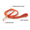 Hand-Woven Faux Leather Puppy Collar and Leash Dog Walking Set