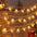 LED lights Christmas Reindeer & Snowflake USB String Lights