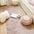 Leaf Cotton Mat Anti-scratch Protective Couch Cover
