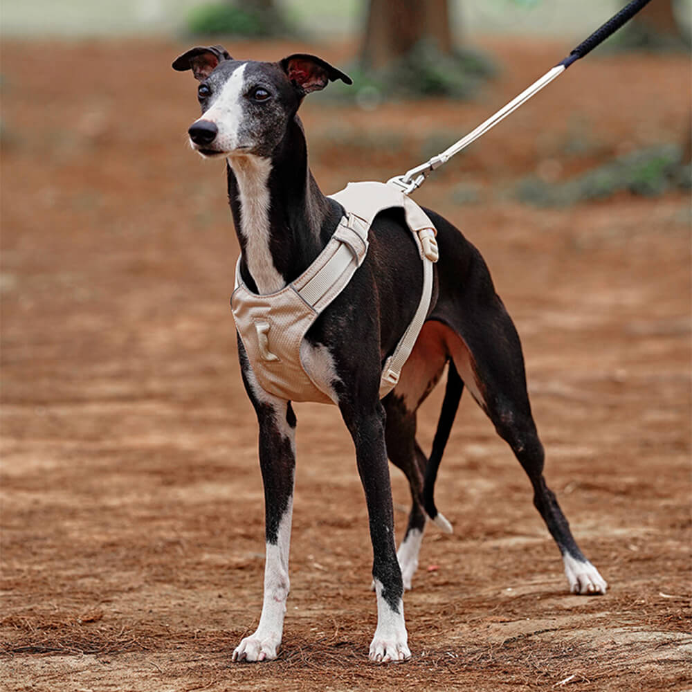 Lightweight Waterproof Breathable Anti-Pull Dog Harness or Multifunctional Leash