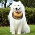 Pet Neckerchief Waterproof Cool Dog Accessories Drool Bib-Sausage