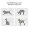 Reflective Buckle-Neck Balance Harness No-Pull Dog Harness