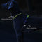 Reflective Buckle-Neck Balance Harness No-Pull Dog Harness