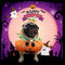 Pumpkin Dog Costume – Fun and Festive for Halloween