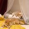 Leaf Shape Dog Blanket With Donut Dog Bed Luxury Dog Gifts