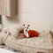 Warming Fluffy Bone Cloud Shape Calming Dog Bed